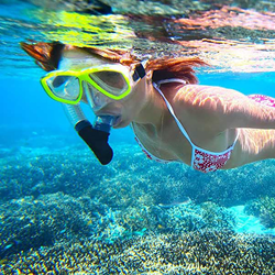 Discover Snorkeling